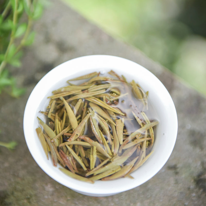 2023 Jasmine Tea Series· Jasmine Silver Needle